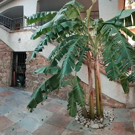 Casa en la naturaleza en Benidorm-2