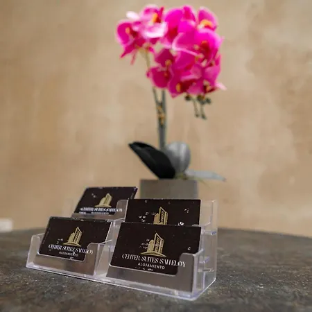 Center Suites San Eloy-3