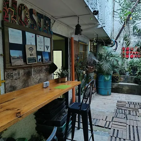 Canela Hostel Medellin-3