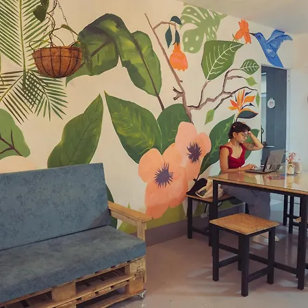 Laureles Garden Hostel-2