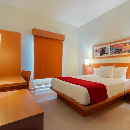 City Express By Marriott Mazatlan-3