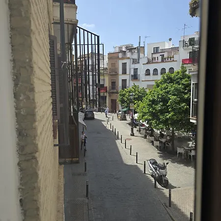Le Petit Palü Sevilla-2