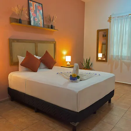 Hotel International House Riviera Maya-3