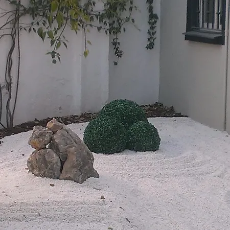 Hotel Domus-2