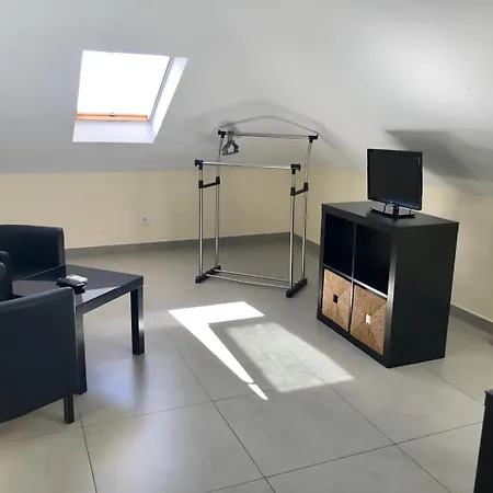Hotel Domus-3