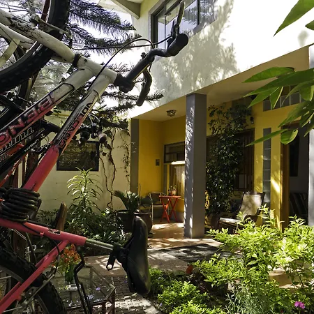 Chalet del Carmen, Coyoacán-3