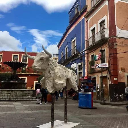 Hotel Plaza Baratillo-2