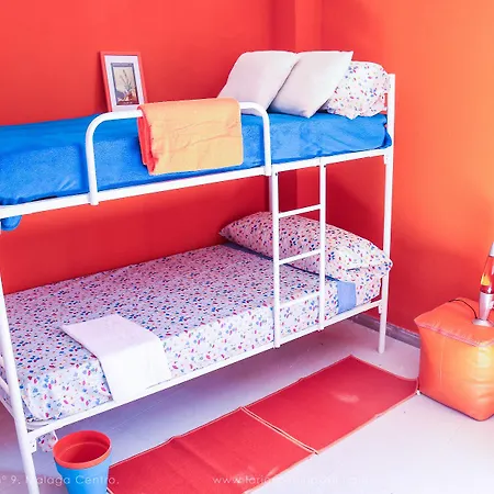 Larios Cool Hostel-3