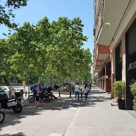 Ant Hostel Barcelona-2