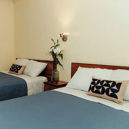 Hotel Rex-3