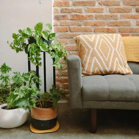 Casa Nican by Barrio Mexico-2