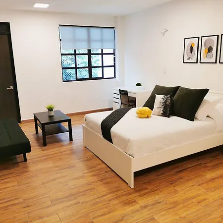Room In Lodge - Cozy Room With Terrace-2
