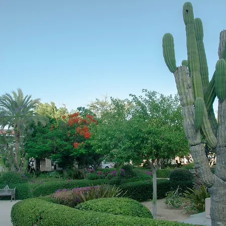 Pedregal Suites - Marina And Downtown-2