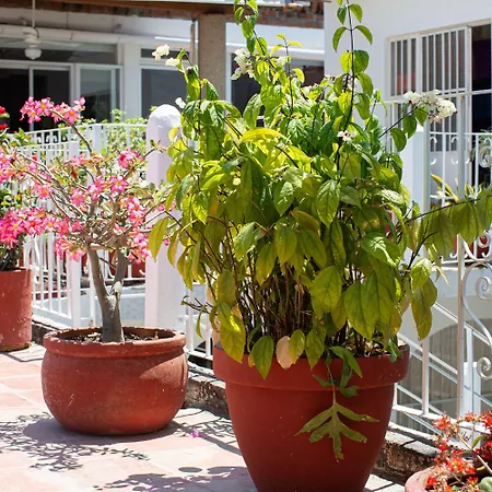 Casitas Miramar Puerto Vallarta Malecón-3