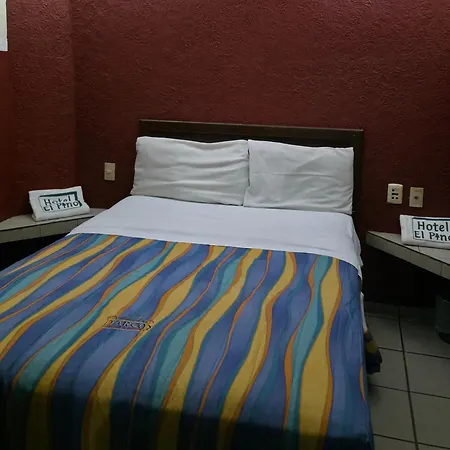 El Pino - Hotel Economico Guadalajara-3