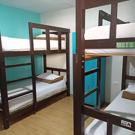 Mango Hostel B&B-3