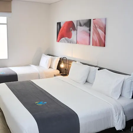 Hotel Vivre-3