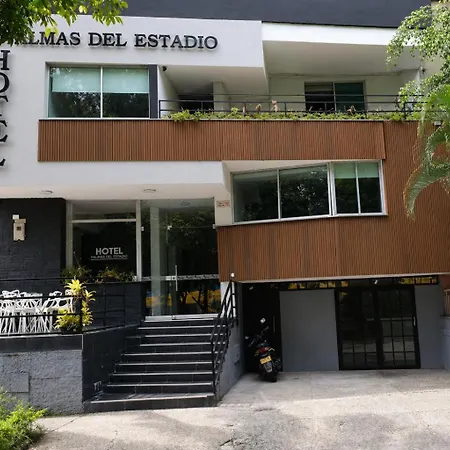 Hotel Palmas del Estadio-3