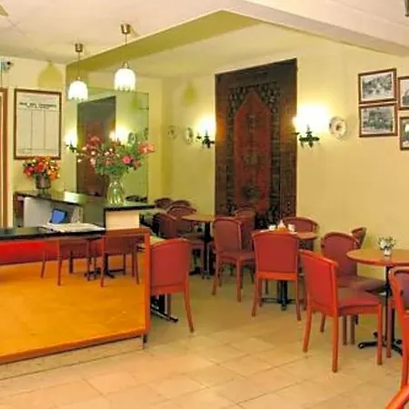 Camelia International-3