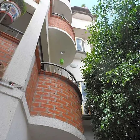 Hotel Internacional Malitsin-3