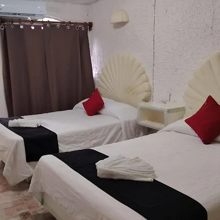 CH Paradise Condesa-2