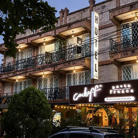 Hotel Boutique Laureles Home (Adults Only)-2