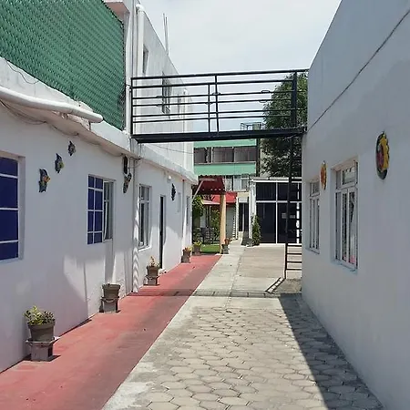 Hospedaje Bugambilias-3