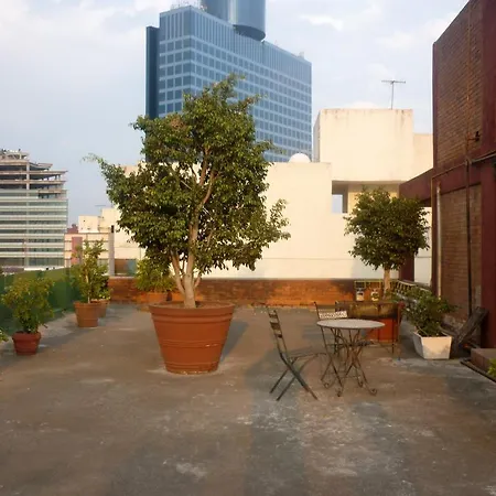 Residencia Rochester-2