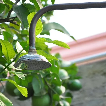 Lemon Garden Hostel Sevilla-3