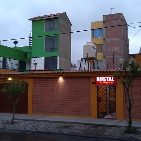 Hostal Las Begonias-3