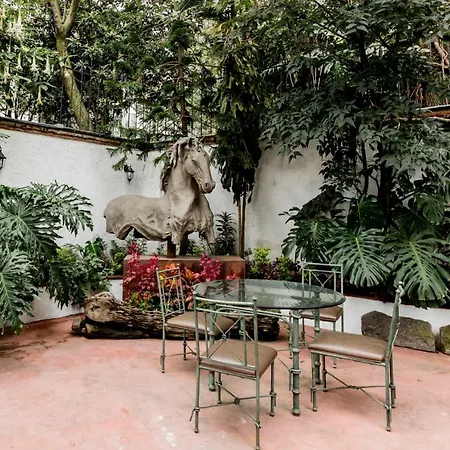 Suites Los Camilos-2