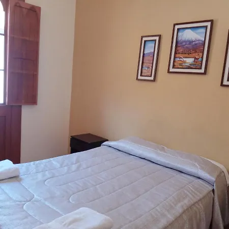 Mango Hostel B&B-2