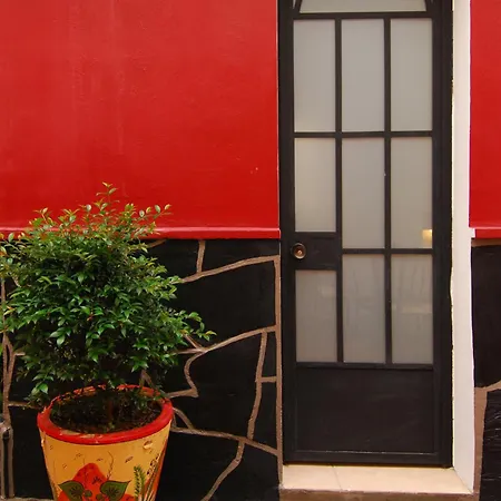 Olga Querida B&B Hostal-2