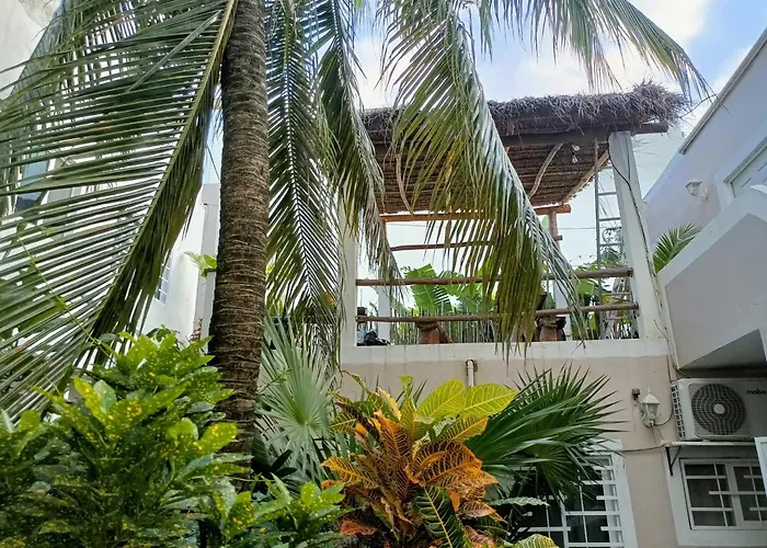 Kika Studios Playa del Carmen