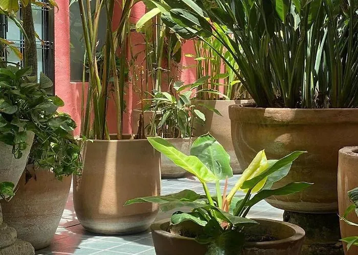 Aparthotel Mesón San Felipe Guadalajara