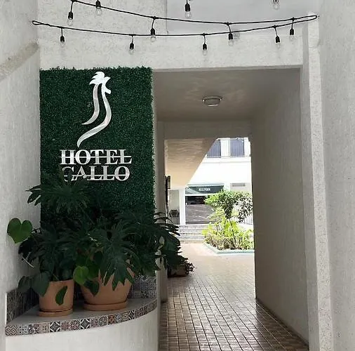 Hoteles BaratosGallo