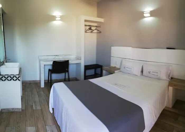 Hotel Gallo Guadalajara
