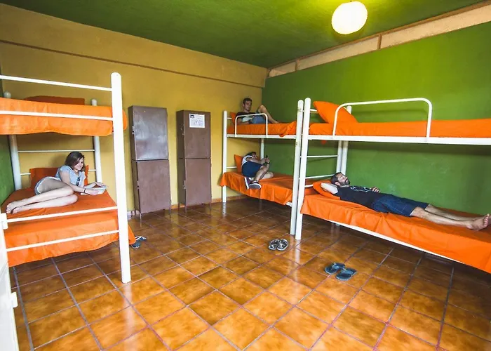 Oasis Hostel Puerto Vallarta