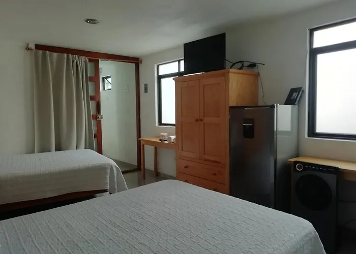 Casa Caracol young guesthouse Guanajuato