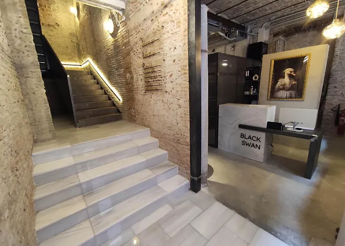 Black Swan Hostel Granada