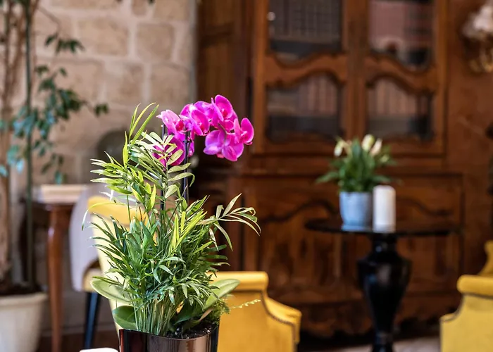 Hoteles BaratosMinerve