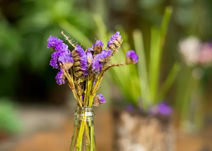 Casa de Palos Boutique Tarapoto