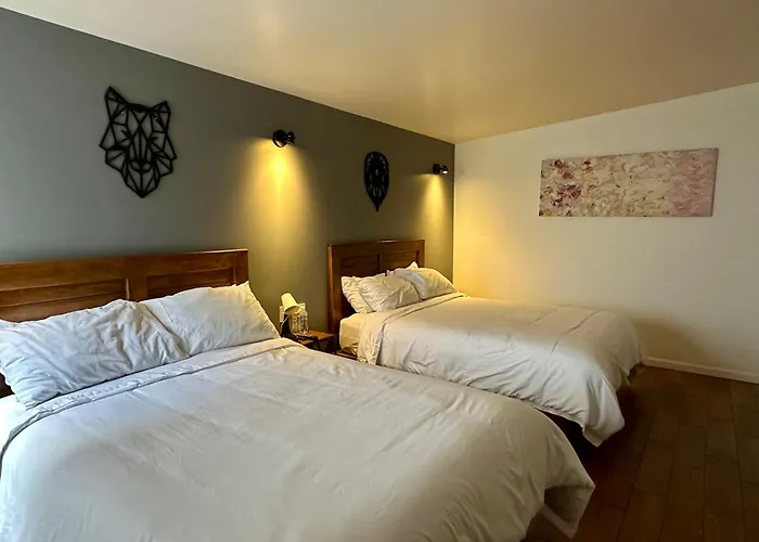 Hotel Casa Raffaello México DF