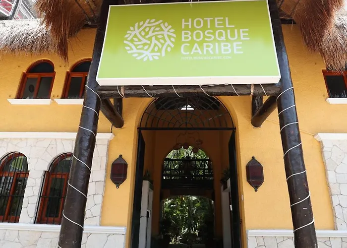Hoteles BaratosBosque Caribe, 5Th Av. Zone