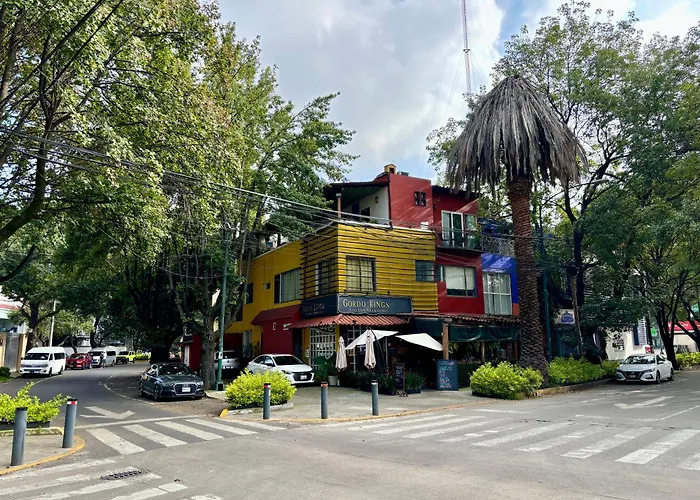 Collection O Casa Anzures Thematic, México DF