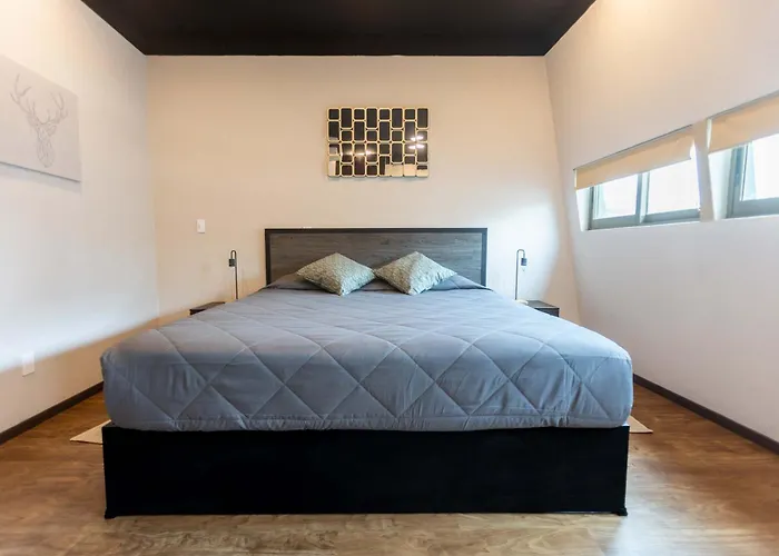 505 Heart Of Cdmx 1Bdrm 1Bath Apt Ac Rooftop México DF