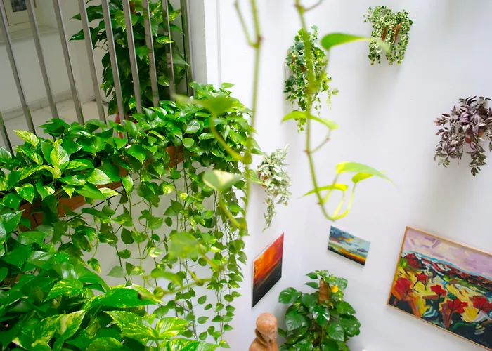 Hoteles BaratosPatio En Santa Cruz