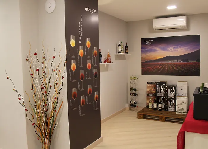 Hostal Aslyp 114 Barcelona