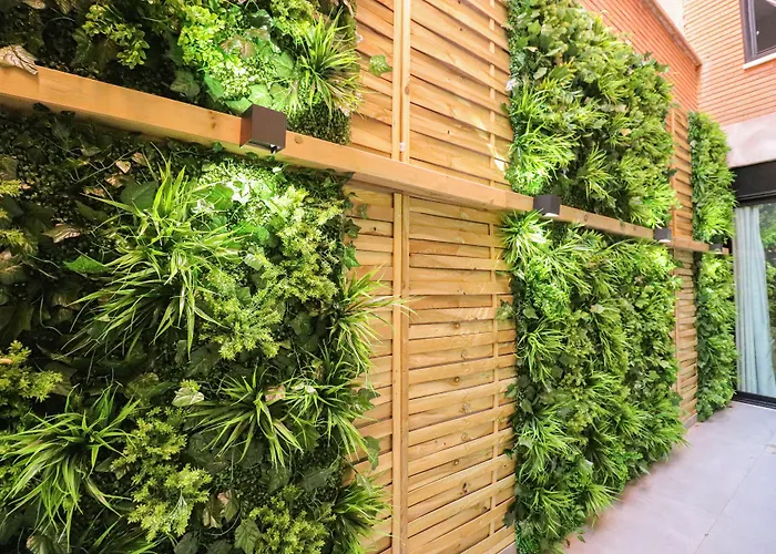 Studios Cielo Madrid