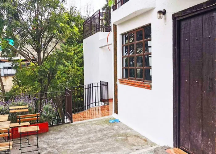 Room In Lodge - Cozy Room With Terrace México DF